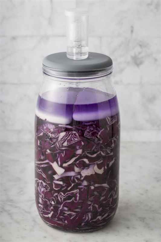 Preview: Fermentier Set, 3 Liter Einmachglas mit Gärverschluss