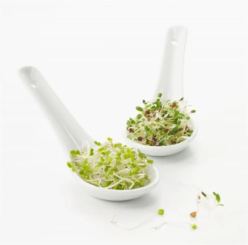Taste / CHINESISCHER LÖFFEL 9 cm Weiss