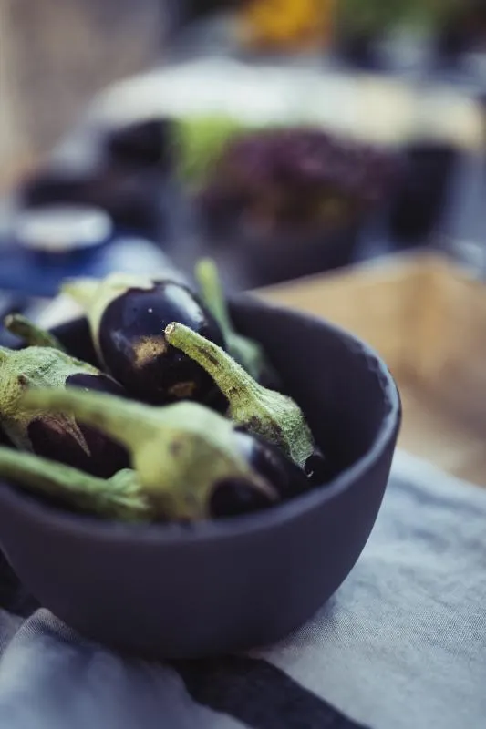 BEILAGENSCHALE 25 cl in Schieferoptik