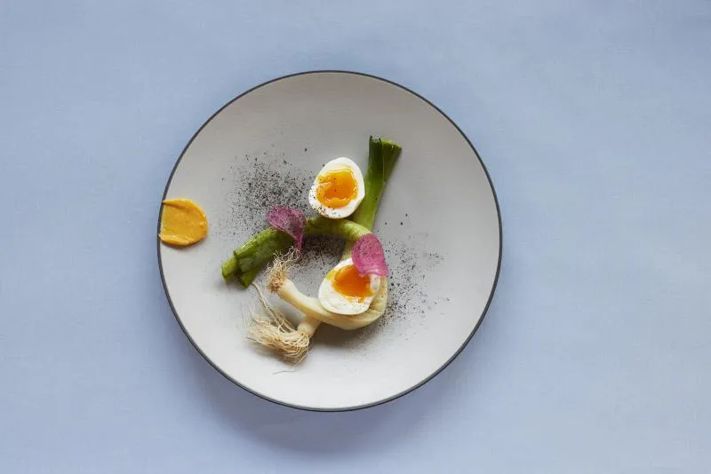 EQUINOXE FLACHER TELLER/PLATZTELLER 31,5 cm Pfeffer