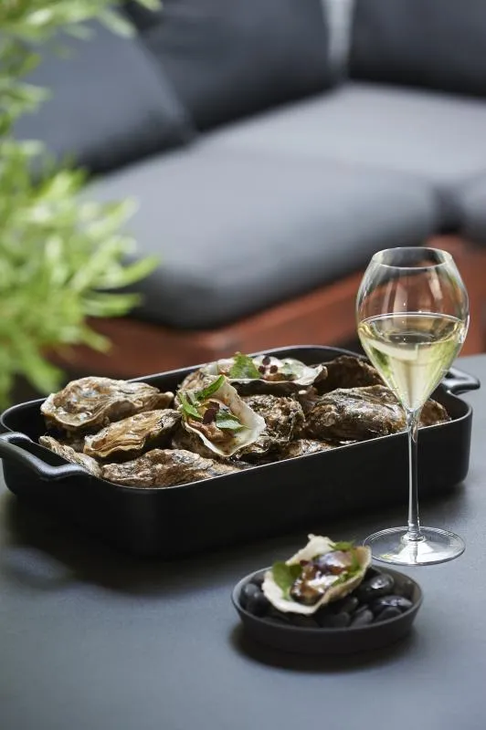 EQUINOXE SCHALE 15 cl Gusseisener optik