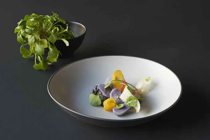 EQUINOXE REISSCHALE/DESSERTSCHALE 30 cl Gusseisener optik