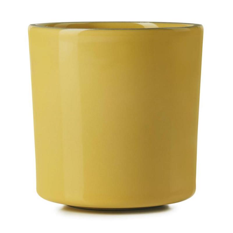 Preview: CARACTERE TASSE 22 cl Kurkuma