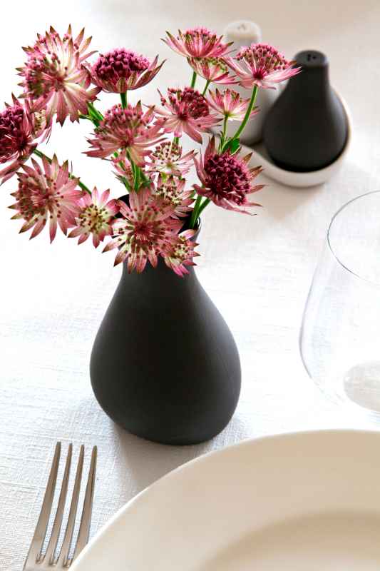 LIKID ECLIP. FLASCHE MIT AUSGIESSER Schieferstein ohne Schrift 25 cl