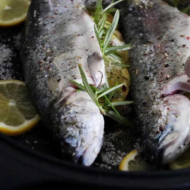 BAF Fischpfanne 38x28 cm Gigant Newline