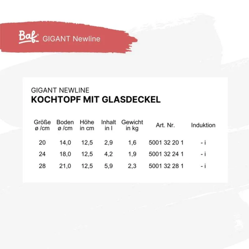 Kochtopf mit Deckel 24 cm BAF GIGANT Newline für alle Herdarten
