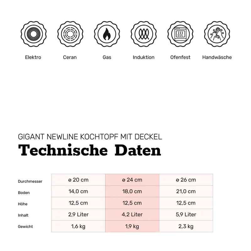 Preview: BAF Kochtopf mit Deckel GIGANT Newline