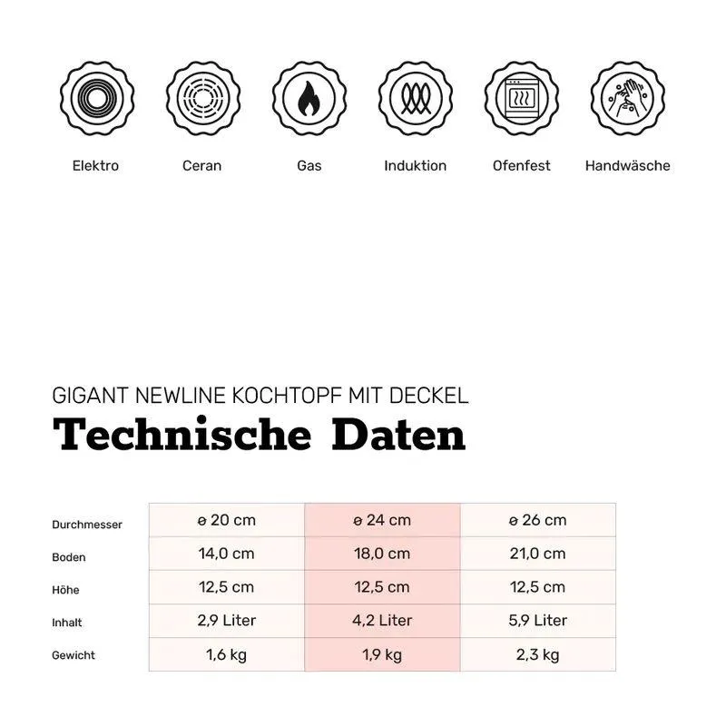 BAF Kochtopf mit Deckel GIGANT Newline