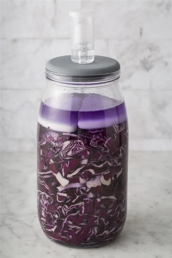 Fermentier Set, 3 Liter Einmachglas mit Gärverschluss Fermentier Set, 3 Liter Einmachglas mit Gärverschluss