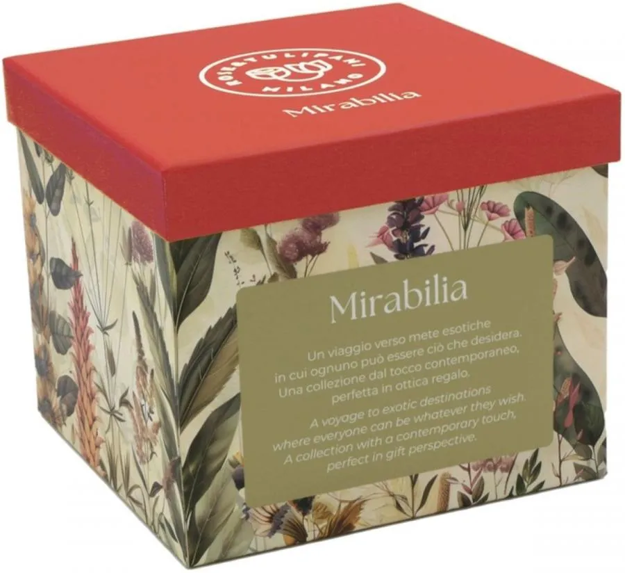 Tea4One mit Untertasse MIRABILIA 400 ml rot