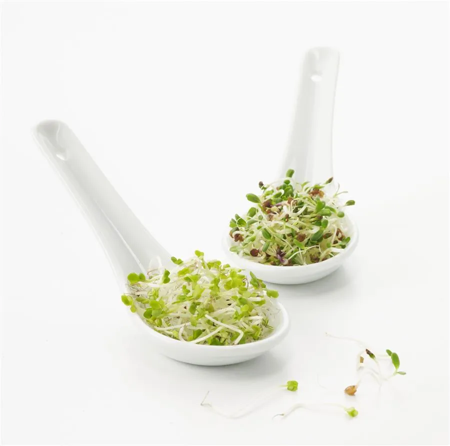 Taste / CHINESISCHER LÖFFEL 9 cm Weiss
