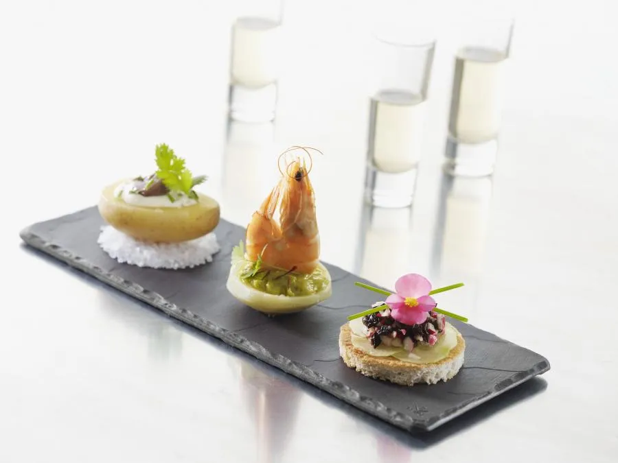 STEAK SERVIERPLATTE 30 x 11 cm RECHTECKIG Matt schiefer