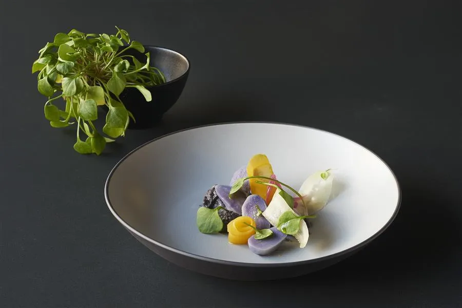 EQUINOXE REISSCHALE/DESSERTSCHALE 30 cl Gusseisener optik