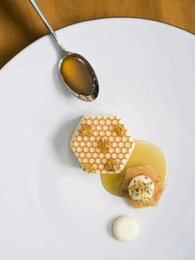 EQUINOXE FLACHER TELLER/DESSERTTELLER 21,5 cm Weiss Kumulus