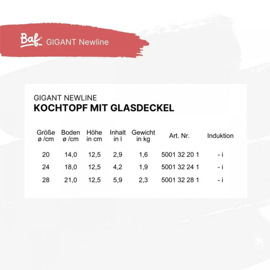 Kochtopf mit Deckel 24 cm BAF GIGANT Newline für alle Herdarten