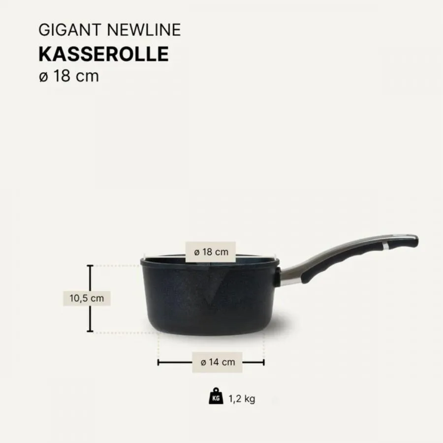 Stieltopf / Kasserolle 18 cm BAF GIGANT Newline für alle Herdarten