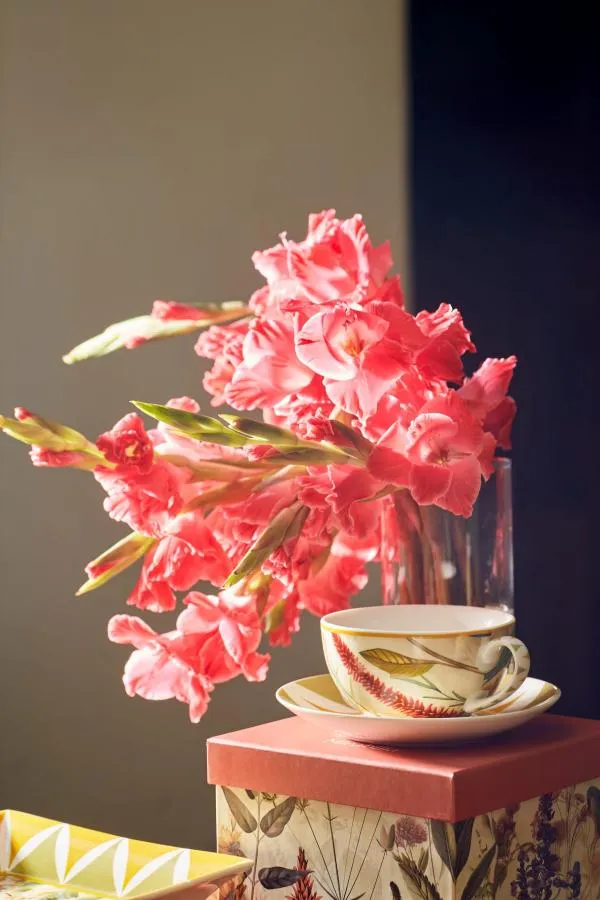 Tea4One mit Untertasse MIRABILIA 400 ml rot