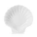 MINIATUR MUSCHELSCHALE Weiss